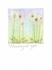 Dandelions Comfort Greeting Card