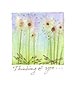 Dandelions Comfort Greeting Card Dandelions Comfort Greeting Card