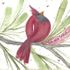 NEW! Cardinal Blessing Gift Set