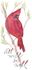 NEW! Cardinal Blessing Gift Set