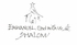 NEW! Peace on Earth Christmas Card Set <br> <div style="color:#9e9991"> <font size="1"> <i>  Inside: "EMMANUEL God with us  SHALOM" </i> </font></div>