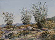3 Ocotillos (Sold)