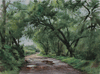 After Rain