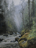 Mist Forest