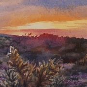 Desert Scape