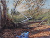 Autumn Impression