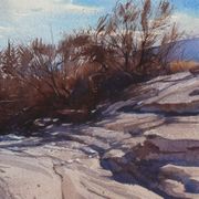 Borrego Plein Air 2025