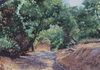 Canyon Trail