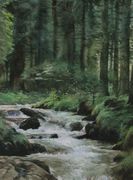 Whitewater Butterfly