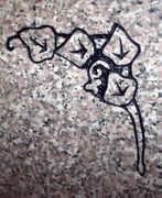 Cemetery Headstone Ivy Design on Anxi Granite