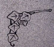 Cemetery Headstone Ivy Design on Gray Granite