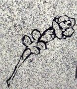 Cemetery Memorial Single Rose Design on Light Gray Granite Cemetery Memorial Single Rose Design on Light Gray Granite