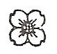 Composite dogwood engraving design option Composite dogwood engraving design option