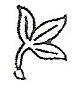 Composite dogwood leaf engraving design option Composite dogwood leaf engraving design option