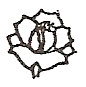Cultivated rose engraving design option