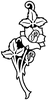 Cultivated rose engraving design option