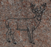 Sandblasted Deer Design 
