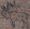 Sandblasted Elk Design 
