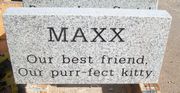 Engraved 16x8x2 Gray Granite Pet Memorial Marker Engraved 16x8x2 Gray Granite Pet Memorial Marker
