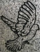 Engraved Bird Design