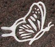 Engraved Butterfly Cemetery Headstone Design 270 on Multi-Colored Purple Granite