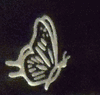 Engraved Butterfly Design 270