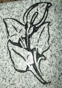 Engraved Calla Lily Headstone Design D-9 on Gray Granite