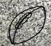 Engraved Cemetery Headstone Football Design 1513 on Grey Granite