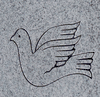 Engraved Dove Design 