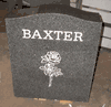 Engraved N-01 Headstone Backside in G654 Dark Gray Granite