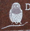Engraved Owl Design 252