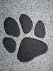 Engraved Paw Print Design 379
