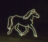 Engraved Running Horse Design 356