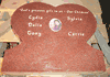 Engraved SH-01 India Red Granite Carved Heart Memorial Back View
