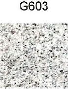 G603