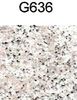 G636