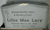Sandblasted Engraved Headstone