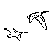 Headstone Animal Design 236