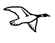 Headstone Animal Design 237