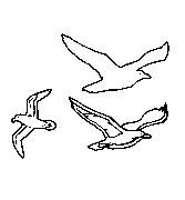 Headstone Animal Design 240