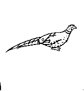 Headstone Animal Design 257