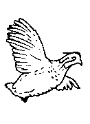 Headstone Animal Design 259