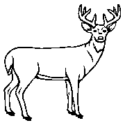 Headstone Animal Design 297