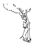 Headstone Animal Design 319