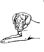 Headstone Animal Design 327