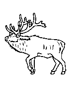 Headstone Animal Design 336