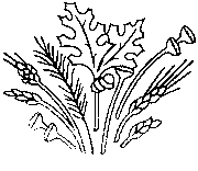 Headstone Design 3012