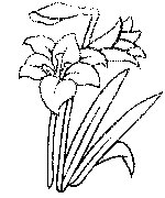 Headstone Design 3017