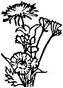 Headstone Design 3065