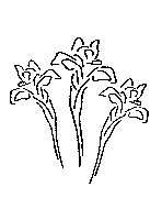 Headstone Floral Design 1012